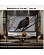 LG OLED83B6ELB.AEK 83inch 4K OLED AI Smart TV