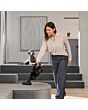 Miele TRIFLEXHX3C_D Triflex Hx3 Cat & Dog Vacuum - Obsidian Black