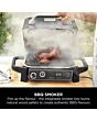 Ninja OG701UK Woodfire Electric BBQ Grill
