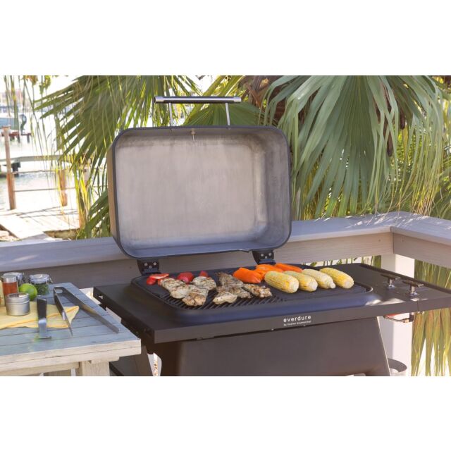 Everdure HBG2GGB Force Gas 2 Burner BBQ with Stand - Graphite