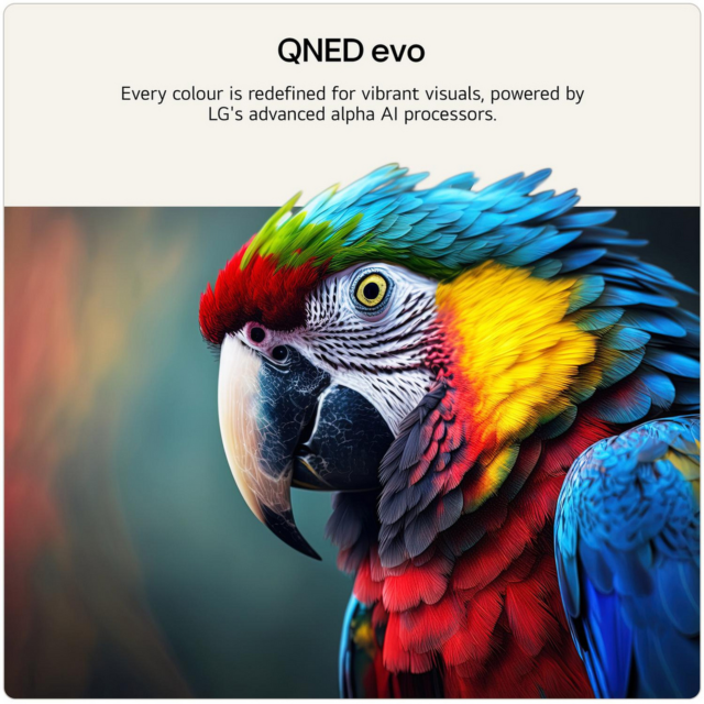 LG 43QNED87B6A 43inch 4K QNED evo Smart TV