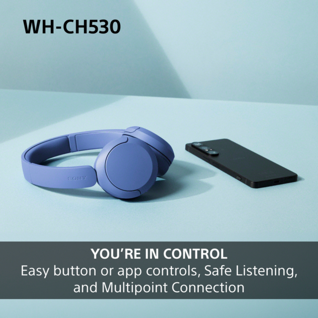 Sony WHCH530G.CE7 Wireless Over-Ear Headphones Mint Green