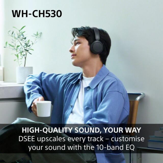 Sony WHCH530L.CE7 Wireless Over ear headphones - Blue