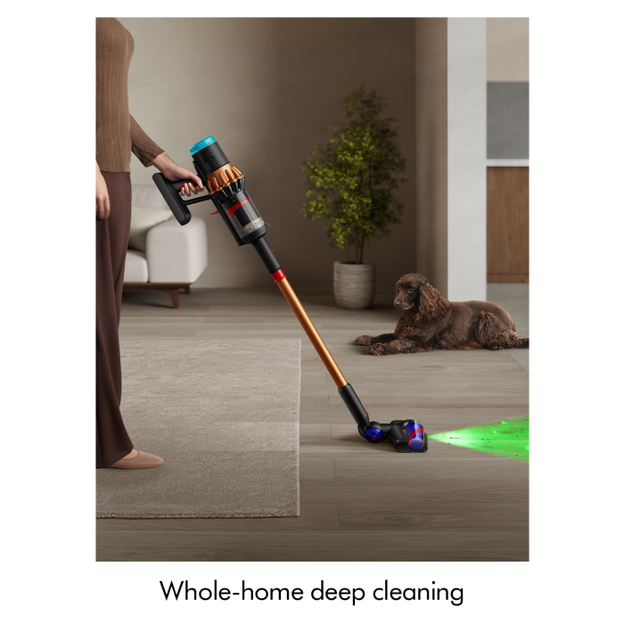 Dyson V16 Piston Animal Submarine Wet & Dry Cleaner