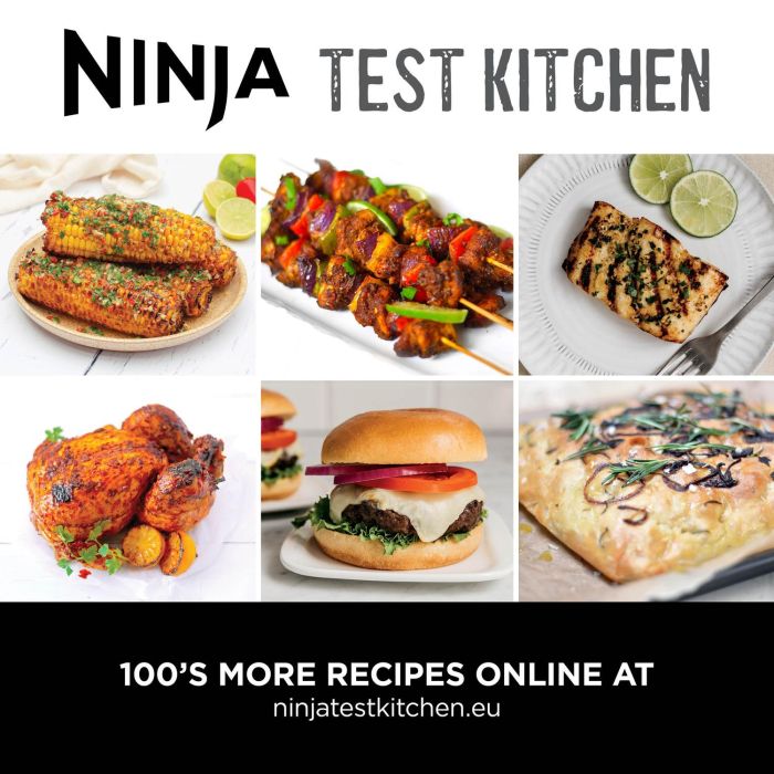 Ninja EG351UK Grill & Air Fryer - Black/Silver