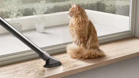 Soft Dusting Brush near a cat sitting on a window sill.
